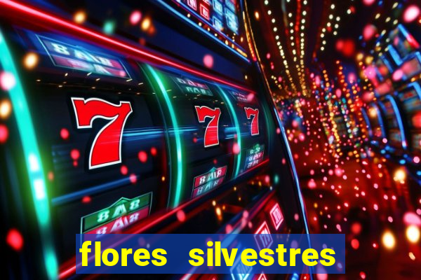 flores silvestres desbravadores desbravadores 25 flores silvestres e seus nomes